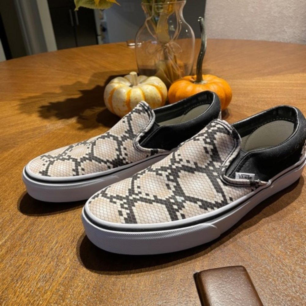 Vans Custom Snake Slip On